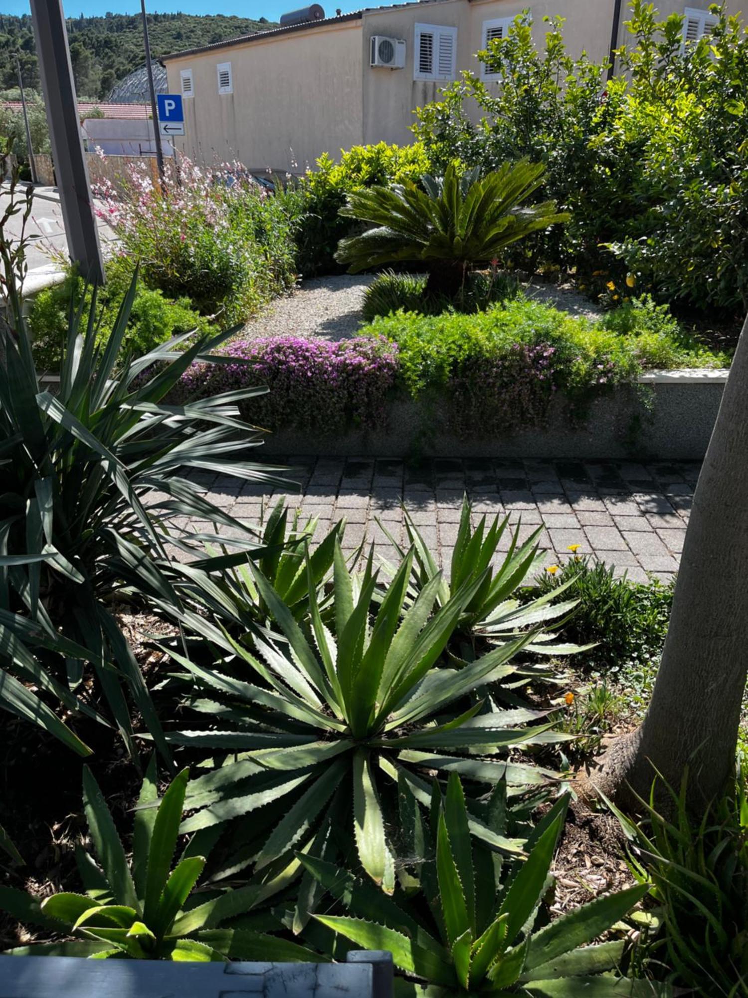 Apartamento Tianri Korčula Exterior foto